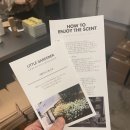 페일블루닷 이미지