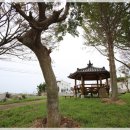 양남힐링펜션 이미지