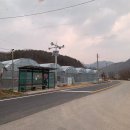 금강나루터식당 이미지