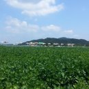 원원농장 이미지