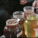 최순복농장 Daum카페