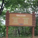 비래초교 이미지