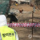 비례농장 이미지