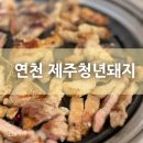 전곡 | 전곡맛집 [제주청년돼지] 방문 후기:)