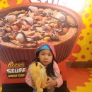 초콜릿월드 이미지