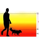 모리모리 이미지