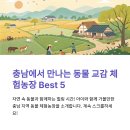 토북팜 | 동물과 교감하는 충남 체험농장 추천 여행지