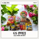 GS25 안성일죽점 | GS 편의점 신상 털이 두바이쫀득초코볼 뿌셔뿌셔마요땅 우유크림소금빵 등등