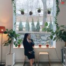 [2월 셋째, 넷째주] 직장인블로그 / 히트커피 / 다이어트 도시락 / 주말 데이트 / 거의 카페 투어...