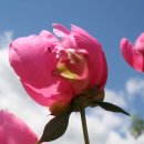 국제한의원 이미지