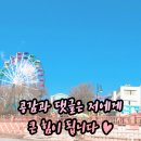 청년피자 내포신도시점 이미지