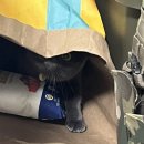 겨울나는나비동물병원 이미지