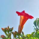 오성민박 이미지