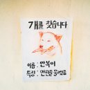 애기 2박 3일 강릉&동해 여행다녀와써 ´ㅅ` (1일차) +추가수정 이미지