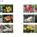 새싹발트유치원 이미지