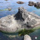 해파랑길9구간 이미지