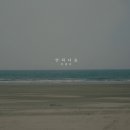 서정적 bnt뉴스