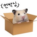 고목로1 이미지