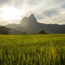 진안군농업기술센터 이미지