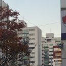삼성화재 해상보험 콜센터 전화번호는 무엇일까요? 📞