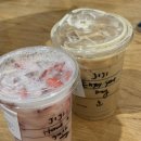 태양팜 | 두바이 찍먹 가능한 오전 시티투어 후기 (예약, 경비, 여행코스) | 신행 기록 Ep.03🫧