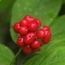 연리목한의원 이미지