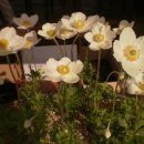 영월 금호정 이미지