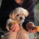 해원의 작은집 이미지