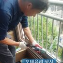 오태유리샷시
