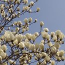 경화동행정복지센터 이미지