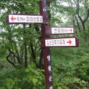 정상 전망대 이미지