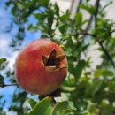 흙과나무의파도소리 이미지