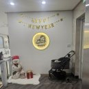 누리개 | 반려견 호텔 더누리개 5일 이용 후기｜캠으로 지켜본 콩이의 밤