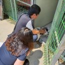 하늘카클리닉 이미지