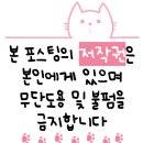 이민정헤어스케치 | to be-16.1] 촬영드레스 가봉 드레스샵 지정 방문 후기(+ 드레스샵 지정 혜택, 드레스 가봉 tip, 에델린...