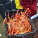 영덕군 먹거리센터 앞 | 동광어시장맛집 영덕대게센타42호에서 즐긴 대게와 바다의 맛 🦀🍺