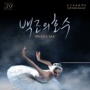 유니버설 발레단 <백조의 호수> 이미지