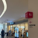 호박몰 | 강남 코엑스 맛집 [솥내음 스타필드 코엑스몰점] 후기ㅣ15개 한정 닭목살 솥밥, 호박버섯 솥밥