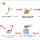세계인쇄