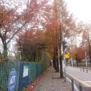 수지초등학교 이미지