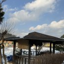 쌍둥이네 애견 이미지