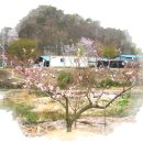 큰바위 펜션 이미지