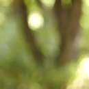 드라마 움짤 다운 이미지