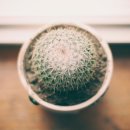 신용방앗간 이미지