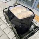 국민세탁빨래방 | 캠프밸리 수유의자 당근 구입 / 세탁방법 / 사용 후기 / 장단점