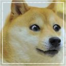 1226 | [공지] [로또 1226회차] 제외수 후기