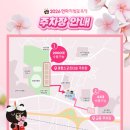 한일여자중학교 | 김천 연화지 벚꽃축제 실시간 방문 야경 주차 꿀팁 숙소 추천 총정리