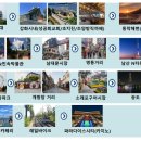 티제이여행사 이미지