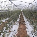 사과나무부동산중개사무소 이미지