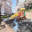 늘푸른공인중개사사무소 이미지